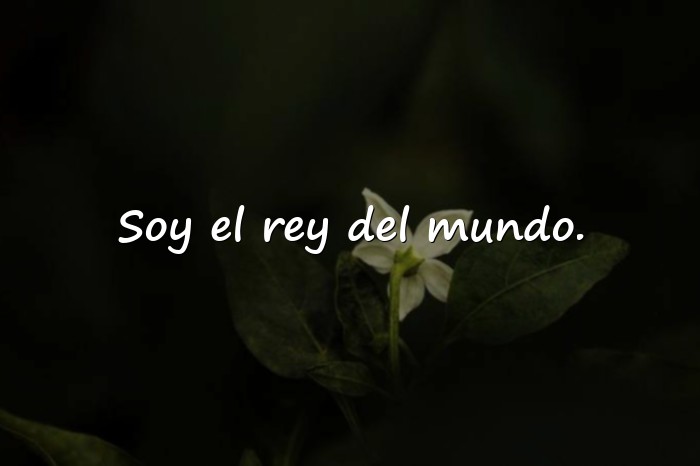 Imágenes frases de peliculas - 17