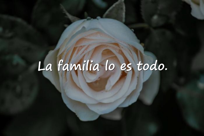 Imágenes frases de peliculas - 23