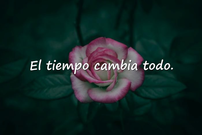 Imágenes frases de peliculas - 19