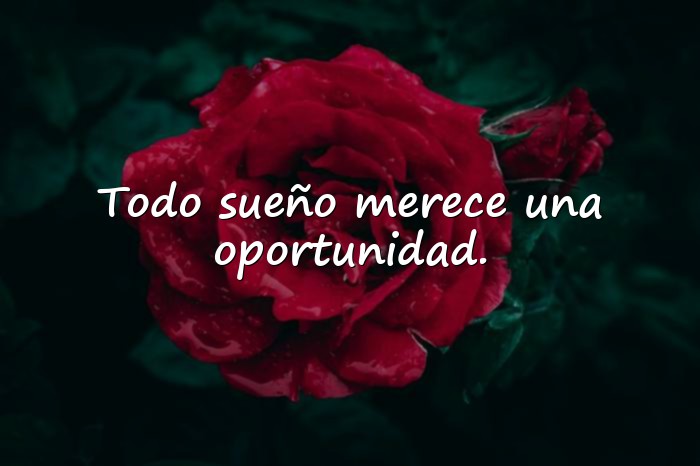 Imágenes frases de peliculas - 14