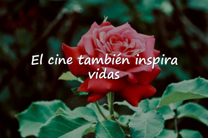 Imágenes frases de peliculas - 1