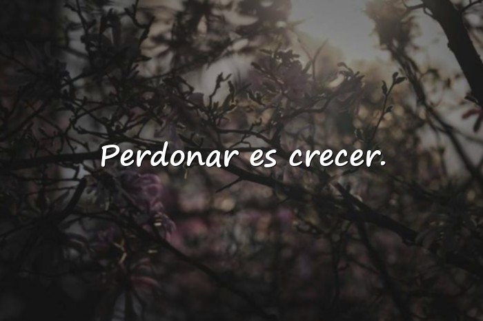 Imágenes frases de perdon - 16