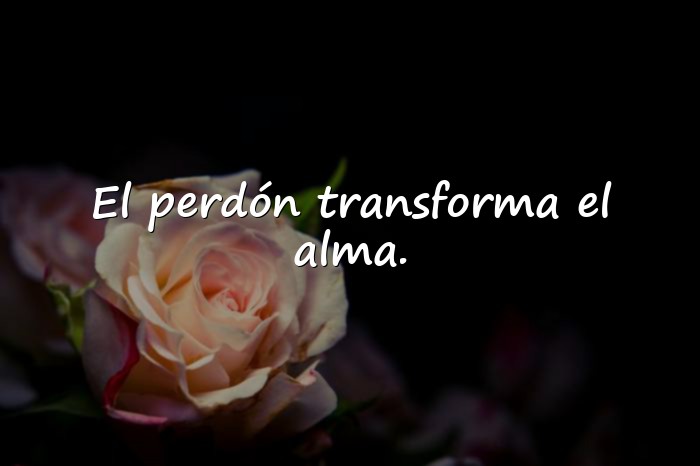 Imágenes frases de perdon - 6