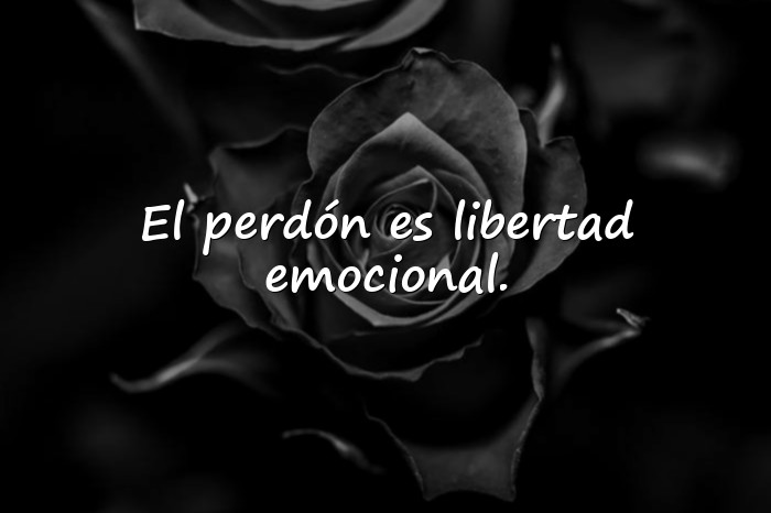 Imágenes frases de perdon - 1