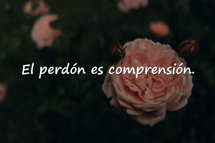 Imágenes frases de perdon - 16