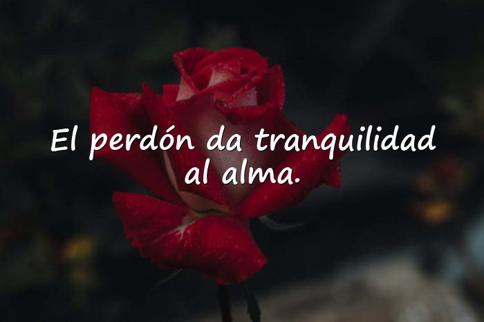 Imágenes frases de perdon - 11