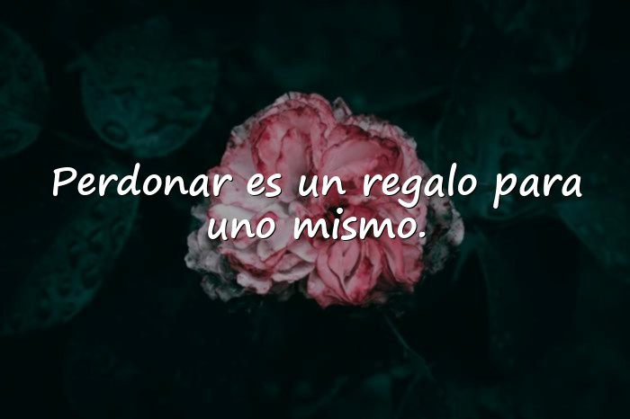 Imágenes frases de perdon - 6
