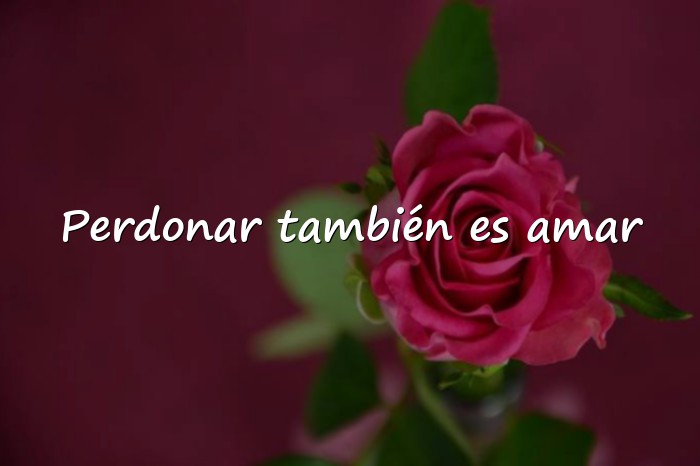 Imágenes frases de perdon - 1