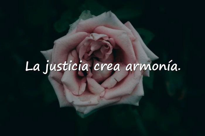 Imágenes frases de platon - 16