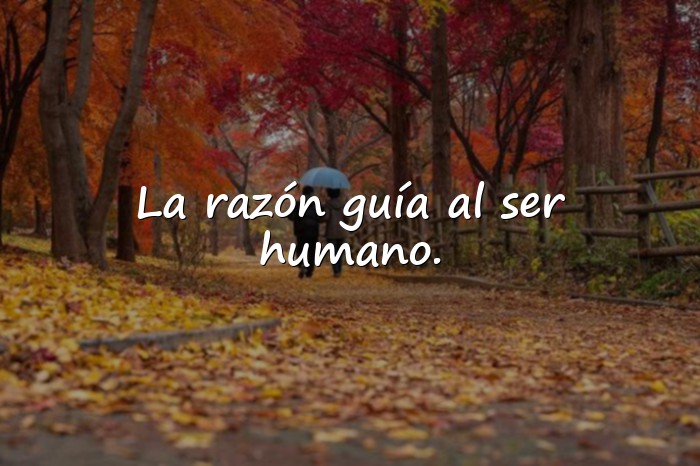 Imágenes frases de platon - 8