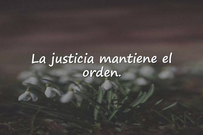 Imágenes frases de platon - 24