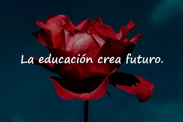 Imágenes frases de platon - 16