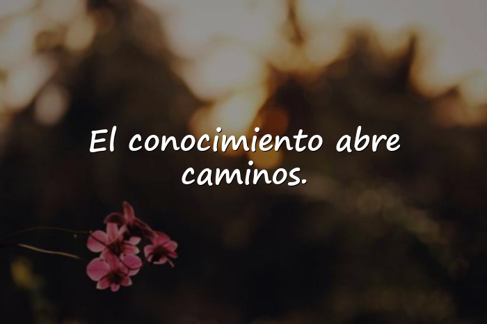 Imágenes frases de platon - 6