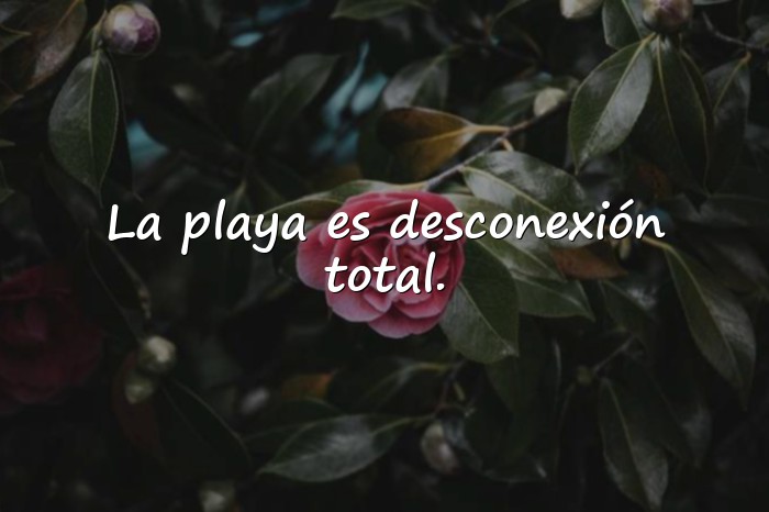 Imágenes frases de playa - 9