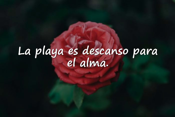 Imágenes frases de playa - 4