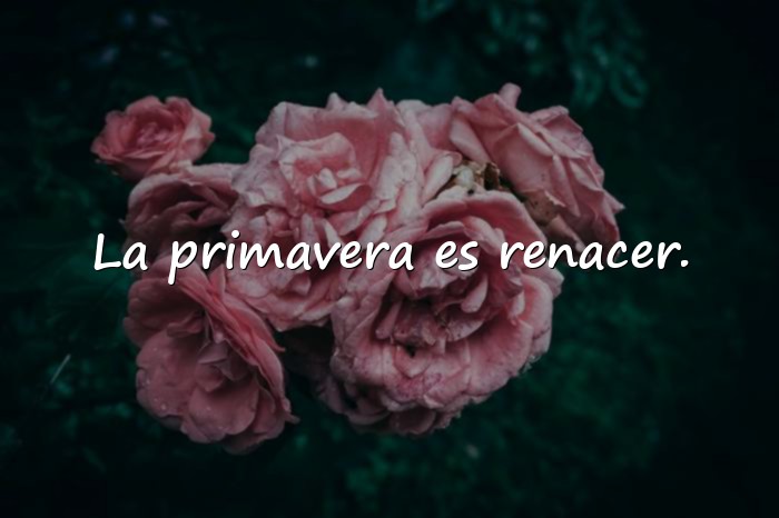 Imágenes frases de primavera - 20