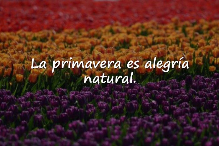 Imágenes frases de primavera - 15