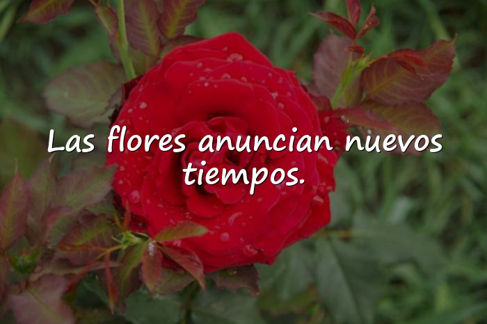 Imágenes frases de primavera - 10