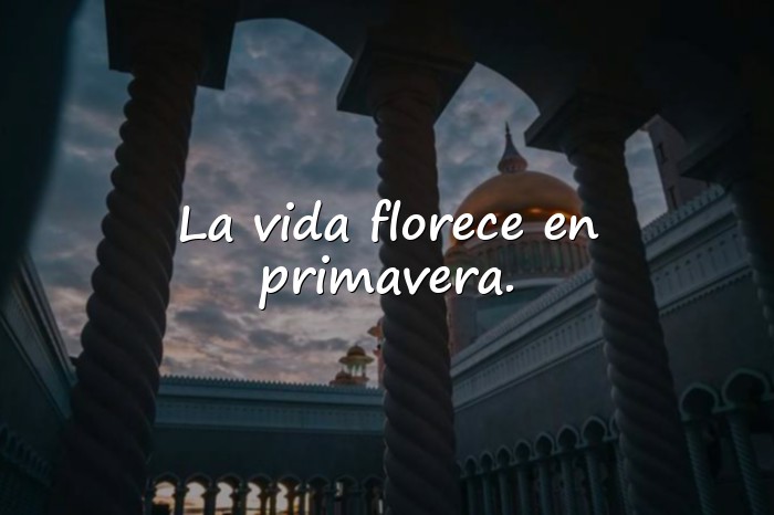 Imágenes frases de primavera - 10