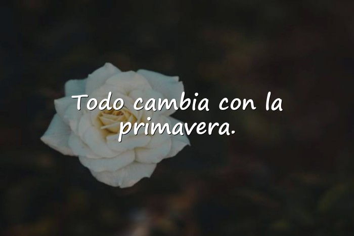 Imágenes frases de primavera - 6