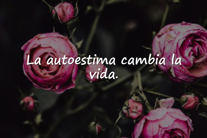 Imágenes frases de psicologia - 6