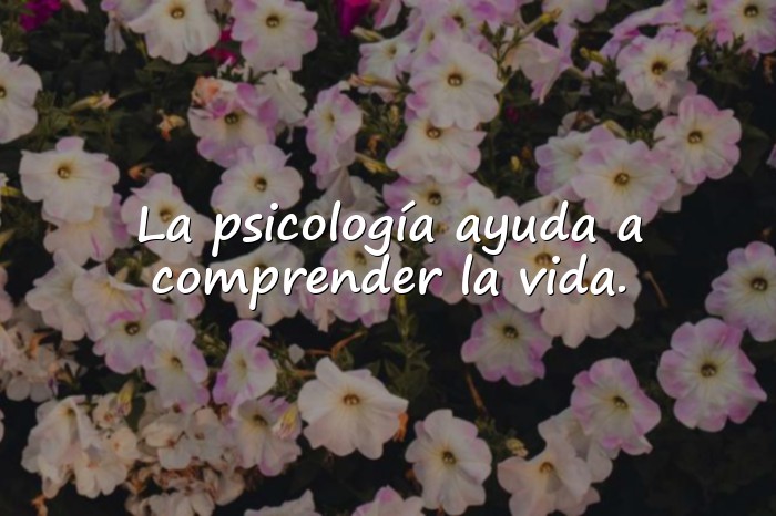 Imágenes frases de psicologia - 21