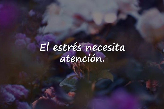 Imágenes frases de psicologia - 6
