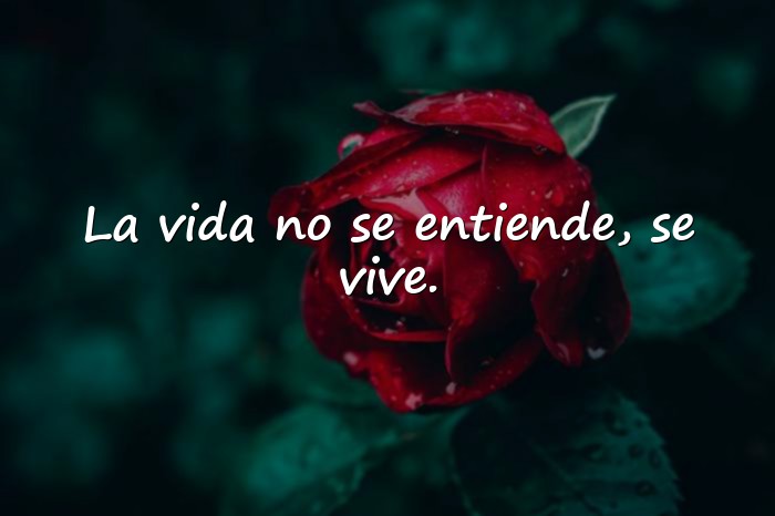 Imágenes frases de reflexion - 7