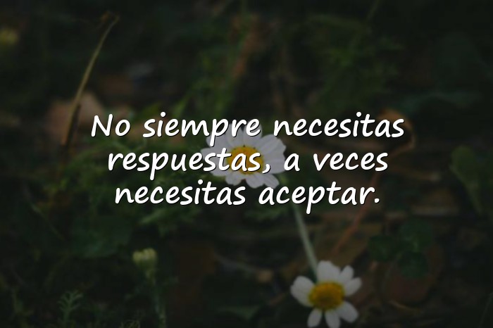 Imágenes frases de reflexion - 19