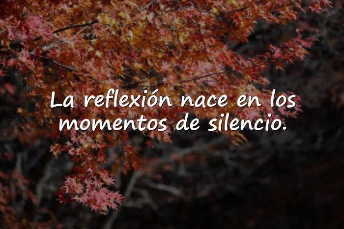 Imágenes frases de reflexion - 15