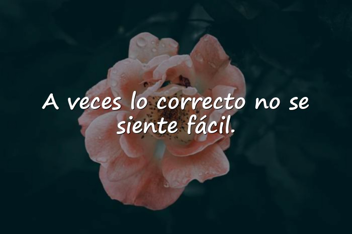 Imágenes frases de reflexion - 12