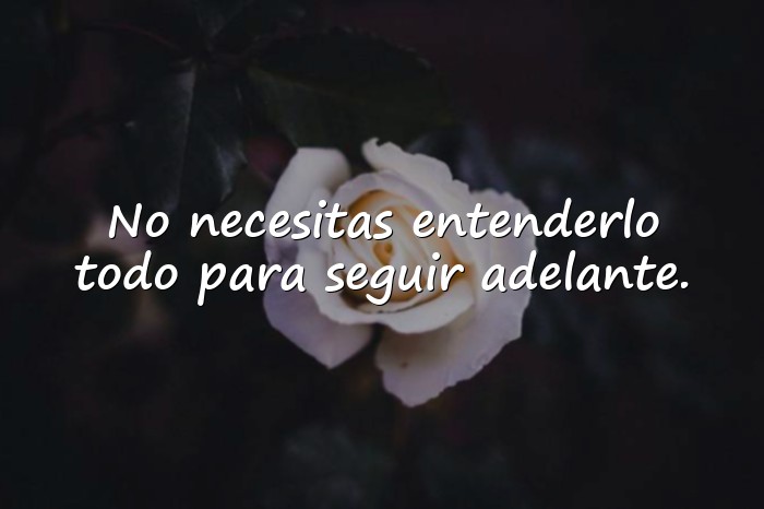 Imágenes frases de reflexion - 5