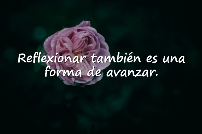 Imágenes frases de reflexion - 1
