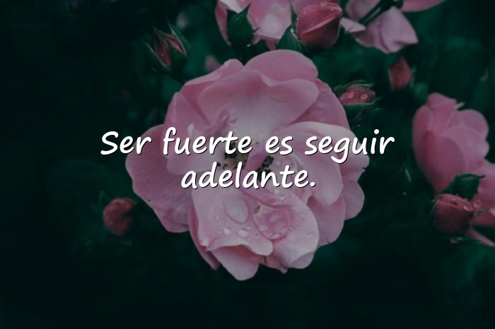 Imágenes frases de resiliencia - 20