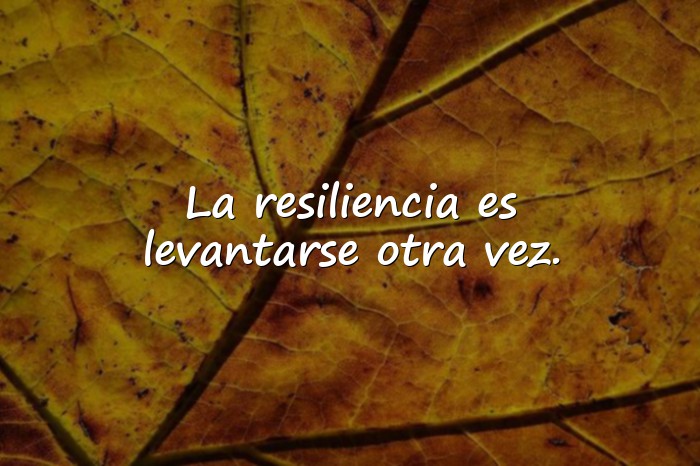 Imágenes frases de resiliencia - 10