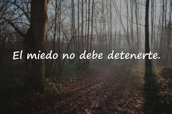 Imágenes frases de resiliencia - 25