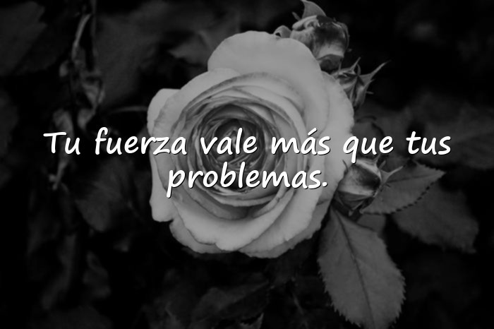Imágenes frases de resiliencia - 20