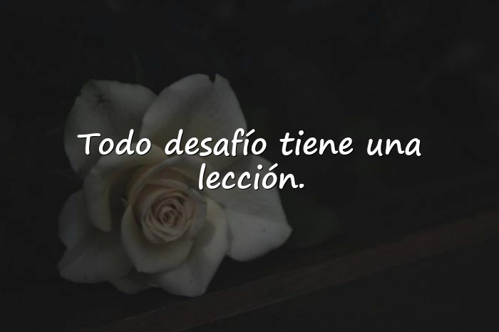 Imágenes frases de resiliencia - 15