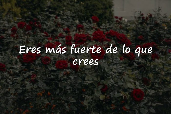 Imágenes frases de resiliencia - 1