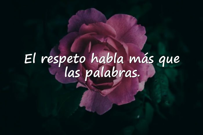 Imágenes frases de respeto - 15