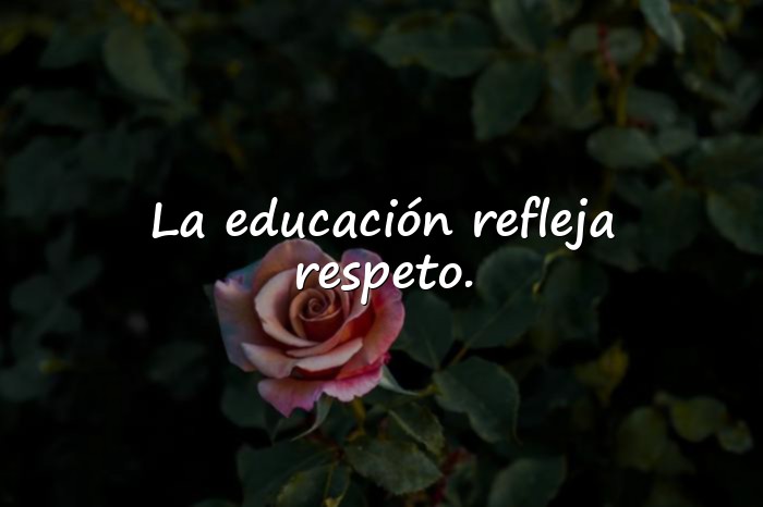 Imágenes frases de respeto - 10