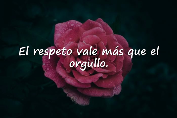 Imágenes frases de respeto - 6