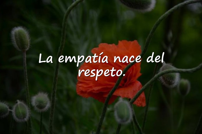Imágenes frases de respeto - 2