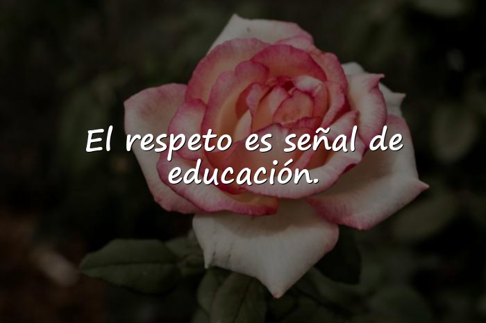 Imágenes frases de respeto - 19