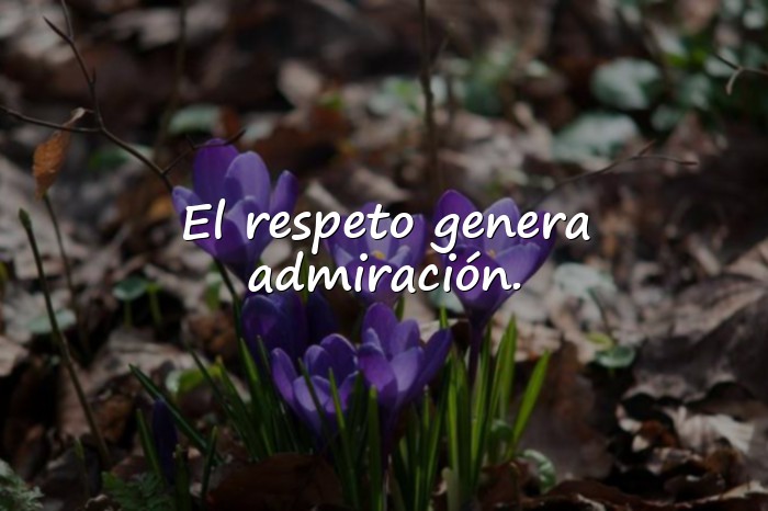 Imágenes frases de respeto - 14