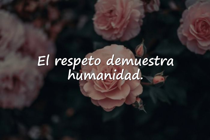 Imágenes frases de respeto - 5