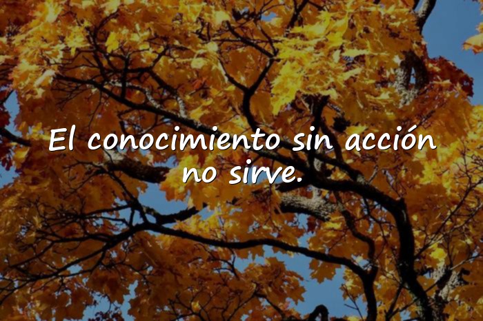 Imágenes frases de sabios - 15