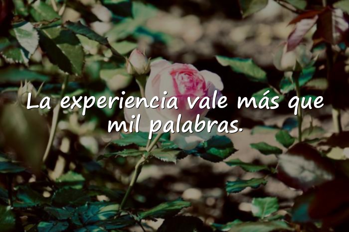Imágenes frases de sabios - 10
