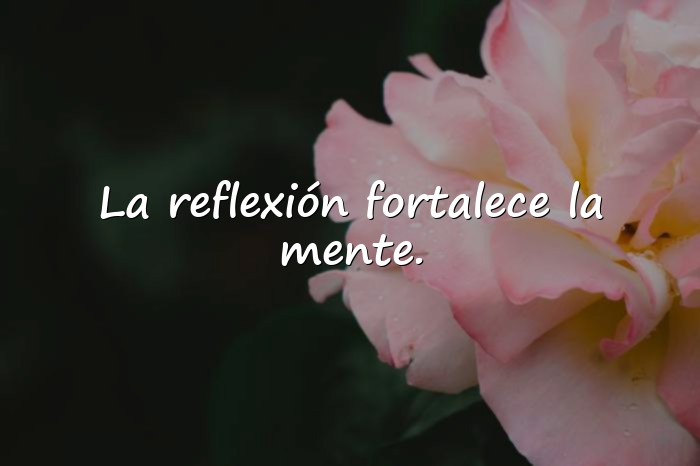 Imágenes frases de sabios - 25