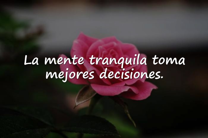 Imágenes frases de sabios - 15